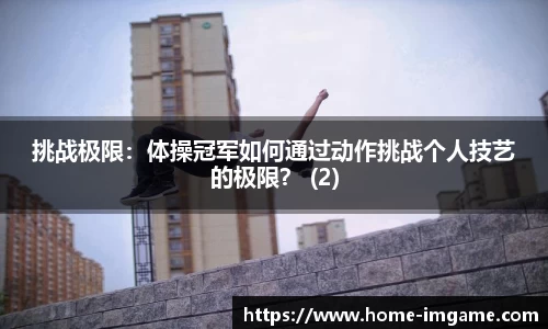 IM电竞官网