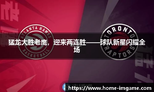 IM电竞官方网站