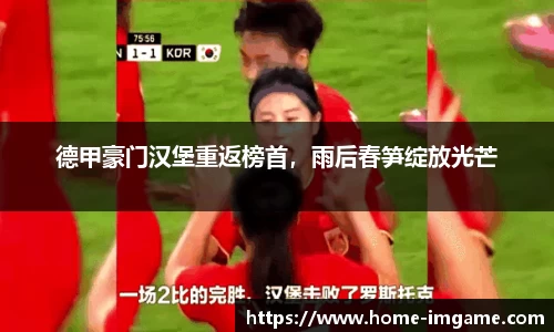 IM电竞官方网站